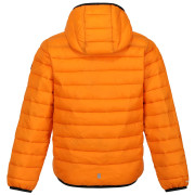 Chaqueta de invierno para niños Regatta Jnr Hooded Marizion