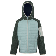 Chaqueta para niños Regatta Junior Newhill Hybrid verde claro Green Haze