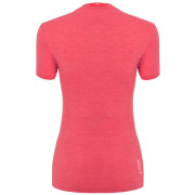 Camiseta de mujer Salewa Zebru Fresh Amr W T-Shirt.