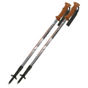 Bastones de senderismo Fizan Tierra