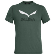 Camiseta de hombre Salewa Solidlogo Dri-Rel M S/S Tee gris oscuro DeepForestMelange