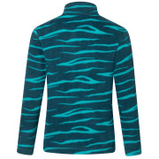 Sudadera para niños Regatta Hot Shot II MeditZebra