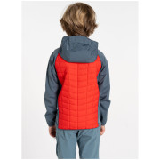 Chaqueta para niños Dare 2b Explore II Hybrid