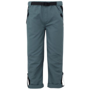 Pantalones para niños Regatta Sorcer Mountain Trousers VII gris StormyWeathr