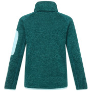 Sudadera para niños Regatta Junior Newhill DrkForGlacGr