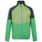 Sudadera de hombre Regatta Yare VII verde Field Green/Jasmine Green