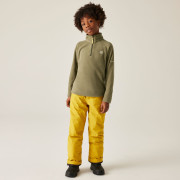 Sudadera para niños Dare 2b Freehand Fleece MartiniOlive