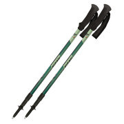 Bastones de senderismo Fizan Trek Pro