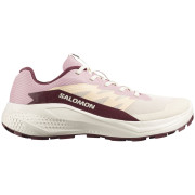 Zapatillas de carrera para mujer Salomon Alphaglide