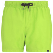 Bañador de hombre Regatta Mawson Swim Shorts III