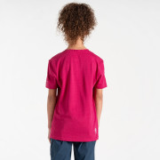 Camiseta para niños Dare 2b Trailblazer II Tee