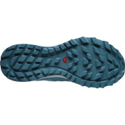 Calzado de mujer Salomon Trailster 2 GTX W