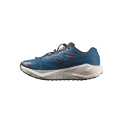 Calzado de hombre Salomon Aero Blaze 4 Grvl
