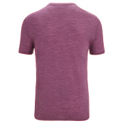 Camiseta funcional de hombre Icebreaker Sphere II SS Tee Trail