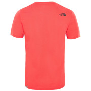 Camiseta de hombre The North Face Easy Tee