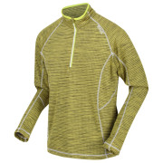 Sudadera de hombre Regatta Yonder verde/gris DarkTang