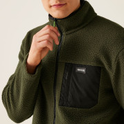 Sudadera funcional de hombre Regatta Frankie Borg Fleece