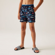 Bañador para niños Regatta Kids' Skander III Swim Shorts