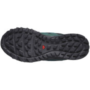 Zapatillas de carrera para hombre Salomon Wander Gore-Tex