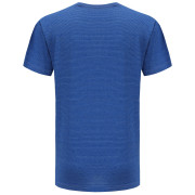 Camiseta de hombre Alpine Pro Adarn