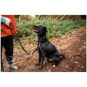 Correa con amortiguador Mountain Paws Stretch Dog Lead