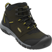 Calzado para niños Keen Ridge Flex Mid Wp Youth verde oscuro dark olive/dusky citron