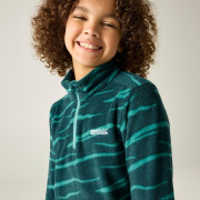 Sudadera para niños Regatta Hot Shot II MeditZebra
