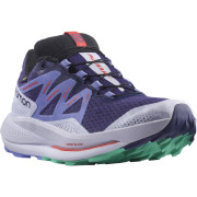 Zapatillas de carrera para mujer Salomon Pulsar Trail Gtx W