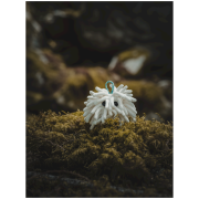 Saco de magnesio Midnight Lightning Chalktopus