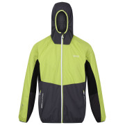 Chaqueta de hombre Regatta Tarvos VI verde GreenAlg/Ash