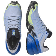 Zapatillas de carrera para hombre Salomon Speedcross 6 GTX Icon