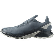 Zapatillas de carrera para hombre Salomon Alphacross 4 Gore-Tex