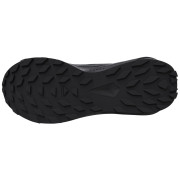 Calzado de mujer Salomon Alphaglide Gore-Tex