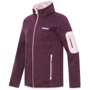 Sudadera para niños Regatta Junior Newhill Fig Powder Lilac