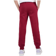Pantalones de chándal para niños 4F Trousers Cas F1777 Burgundy