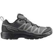 Zapatos trekking hombre Salomon Exraise Gtx gris Asphalt / Sedona Sage / Black