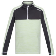 Sudadera para niños Regatta Hewley verde claro Quiet Green/Seal Grey