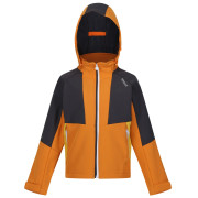 Chaqueta para niños Regatta Haydenbury naranja Orange Pepper/Seal Grey