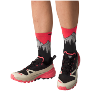 Zapatillas de carrera para mujer Dynafit Traverse 2 GTX W