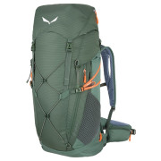 Mochila Salewa Alp Trainer 35+3 verde DuckGreen