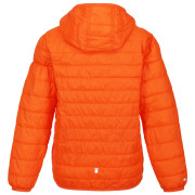 Chaqueta para niños Regatta Jr Hooded Hillpck