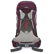 Mochila Lowe Alpine Cholatse ND50:55