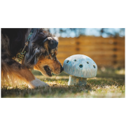 Juguete para perro Ruffwear Porchini™