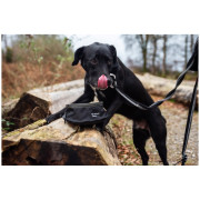 Comedero para perro Mountain Paws Collapsible Dog Food Bowl