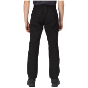 Pantalones de hombre Regatta Dayhike Trs IV