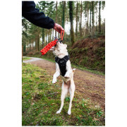 Juguete para perro Mountain Paws Braided Chew Rope Dog Toy