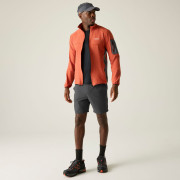 Pantalones cortos de hombre Regatta Anti-Insect Travel Light Shorts