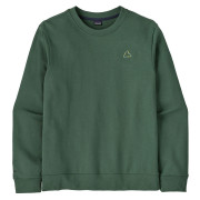 Sudadera de hombre Patagonia M's Fitz Roy Massif Daily Crew verde Canopy Green