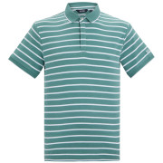 Camiseta de hombre Regatta Tiver verde/blanco Artc/WhtStrp