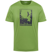Camiseta de hombre Regatta Fingal Slogan III verde Piquant Green
